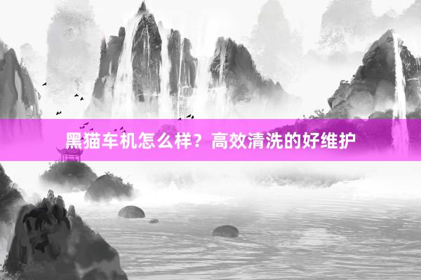 黑猫车机怎么样？高效清洗的好维护